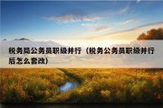 税务局公务员职级并行（税务公务员职级并行后怎么套改）