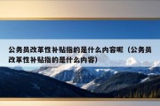 公务员改革性补贴指的是什么内容呢（公务员改革性补贴指的是什么内容）