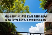 湖北十堰市2022年养老金计发基数是多少钱（湖北十堰市2022年养老金计发基数）