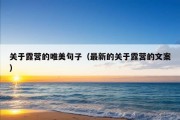 关于露营的唯美句子（最新的关于露营的文案）