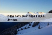 养老金 2035（2023养老金上调多少,何时出台）