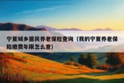 宁夏城乡居民养老保险查询（我的宁夏养老保险缴费年限怎么查）