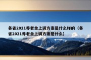 各省2021养老金上调方案是什么样的（各省2021养老金上调方案是什么）