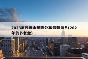 2023年养老金细则公布最新消息(202年的养老金)