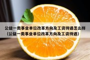 公益一类事业单位改革方向及工资待遇怎么样（公益一类事业单位改革方向及工资待遇）