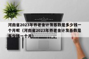 河南省2023年养老金计发基数是多少钱一个月呢（河南省2023年养老金计发基数是多少钱一个月）