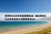 荆州市2020年养老缴费标准（湖北荆州2022年养老金计发基数是多少）