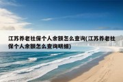 江苏养老社保个人余额怎么查询(江苏养老社保个人余额怎么查询明细)