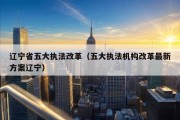 辽宁省五大执法改革（五大执法机构改革最新方案辽宁）