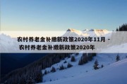 农村养老金补缴新政策2020年11月 - 农村养老金补缴新政策2020年