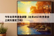 今年北京养老金调整（北京2023年养老金上调方案定了吗）