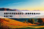 安徽今年养老金涨多少（安徽养老金2023年涨了吗）