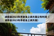 湖南省2023年养老金上调方案公布时间（湖南省2023年养老金上调方案）