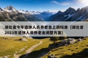 湖北省今年退休人员养老金上调标准（湖北省2023年退休人员养老金调整方案）