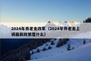 2024年养老金改革（2024年养老金上调最新政策是什么）