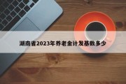 湖南省2023年养老金计发基数多少