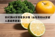 农村满60岁养老多少钱（山东农村60岁老人基础养老金）