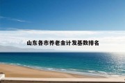 山东各市养老金计发基数排名