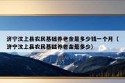 济宁汶上县农民基础养老金是多少钱一个月（济宁汶上县农民基础养老金是多少）