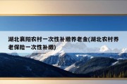 湖北襄阳农村一次性补缴养老金(湖北农村养老保险一次性补缴)