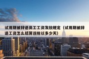 试用期被辞退员工工资发放规定（试用期被辞退工资怎么结算该除以多少天）