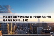 肥东城乡居民养老保险政策（安徽肥东农村养老金每月多少钱一个月）