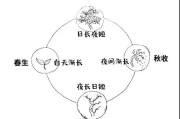 真没想到（四季养生顺口溜八个字）四季养生正确的方法 - 四季养生法则是什么意思