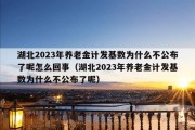 湖北2023年养老金计发基数为什么不公布了呢怎么回事（湖北2023年养老金计发基数为什么不公布了呢）