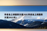 养老金上调最新方案202(养老金上调最新方案2021年)