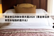 事业单位改制补偿方案2020（事业单位改革性补贴指的是什么）