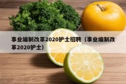 事业编制改革2020护士招聘（事业编制改革2020护士）