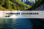 2022供销社改革（2024年供销社机构改革）