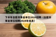 下半年合肥市事业单位2020招聘（合肥市事业单位招聘2024年信息）