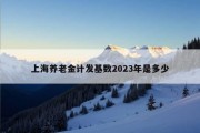 上海养老金计发基数2023年是多少