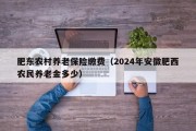 肥东农村养老保险缴费（2024年安徽肥西农民养老金多少）