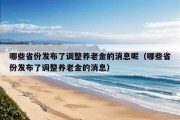 哪些省份发布了调整养老金的消息呢（哪些省份发布了调整养老金的消息）