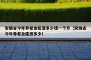 安徽省今年养老金能涨多少钱一个月（安徽省今年养老金能涨多少）