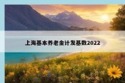 上海基本养老金计发基数2022