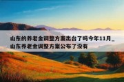 山东的养老金调整方案出台了吗今年11月_山东养老金调整方案公布了没有