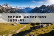 养老金 2035（2023养老金上调多少个省市区公布了）