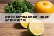 2020年河南机构改革最新消息（河南省机构改革2019年方案）