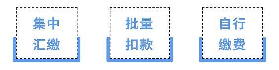 我市2024年度城乡居民医保参保缴费即将截止！