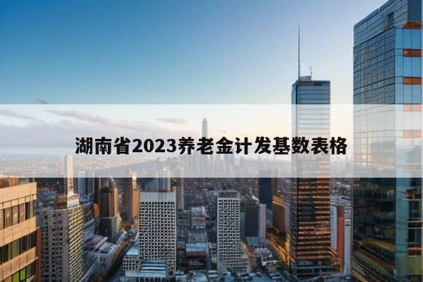 湖南省2023养老金计发基数表格