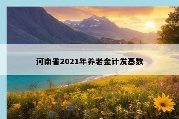 河南省2021年养老金计发基数