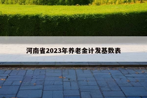 河南省2023年养老金计发基数表