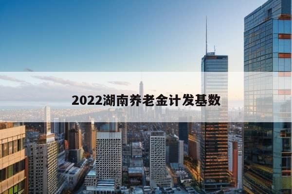 2022湖南养老金计发基数