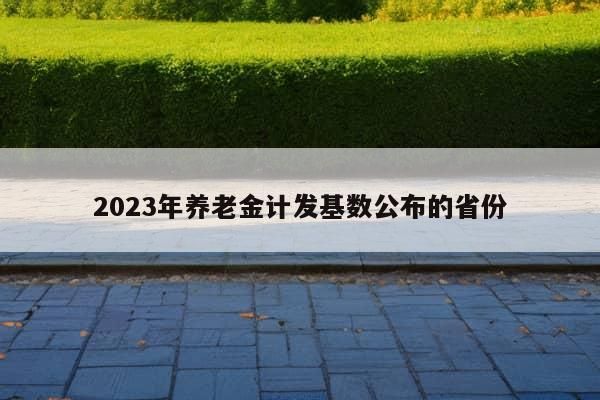 2023年养老金计发基数公布的省份