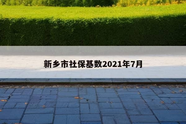 新乡市社保基数2021年7月