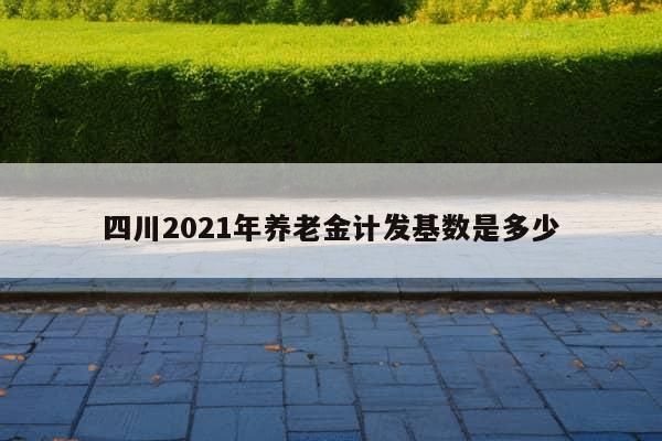 四川2021年养老金计发基数是多少