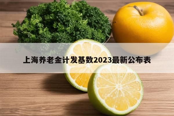 上海养老金计发基数2023最新公布表